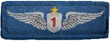 Знак Летчик 1 класса 