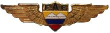 Знак Pilot