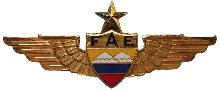 Знак Senior pilot