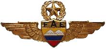 Знак Master pilot