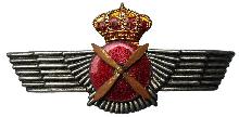Знак Пилот