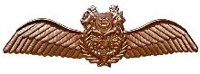 Знак Пилот