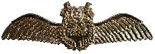 Знак Пилот