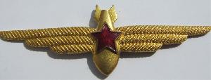 Badge Штурман без класса 