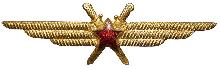 Знак Летчик без класса 