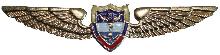 Знак Pilot Знак Pilot