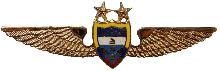 Знак Pilot