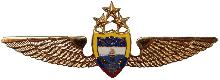 Знак Pilot