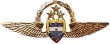 Знак Pilot Знак Pilot