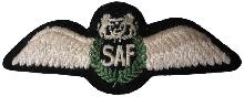 Знак Пилот