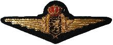 Знак Pilot
