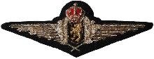 Знак Pilot