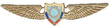 Знак Technican