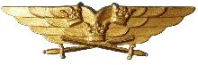 Знак Пилот