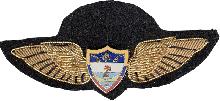 Знак Pilot