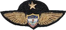 Знак Пилот 