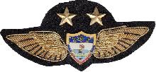 Знак Pilot Знак Pilot