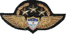 Знак Pilot