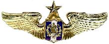 Знак Старший пилот 
