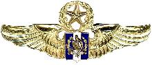 Знак Мастер пилот 
