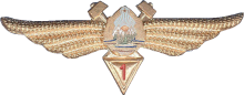 Знак Technician 1st class Знак Technician 1st class