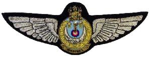 Нагрудный знак Летчик  