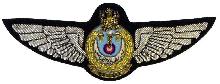 Знак Летчик 