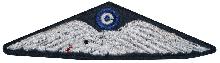 Знак Pilot