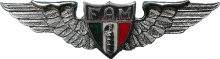 Знак Медицинская служба 