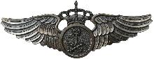 Знак Pilot