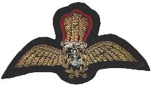 Знак Летчик 
