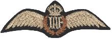 Знак Летчик 