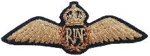 Знак Летчик 