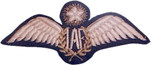 Знак Летчик 