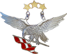 Знак Летчик 