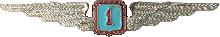 Знак Pilot 1st class