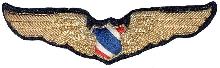 Знак Pilot