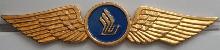 Знак Пилот Singapore Airlines