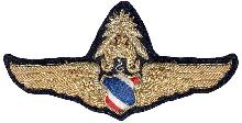 Знак Мастер пилот 
