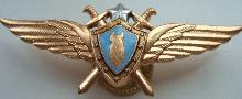 Знак Штурман без класса Знак Штурман без класса