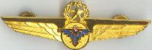 Знак Grand Canyon Airlines