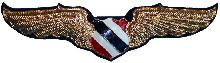 Знак Pilot