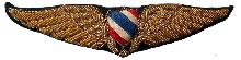 Знак Pilot