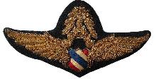 Знак Мастер пилот 