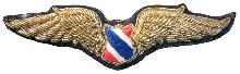 Знак Pilot