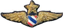 Знак Senior pilot