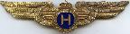 Знак Пилот