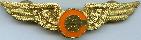 Знак Пилот Cach