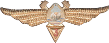 Знак Technician 3rd class