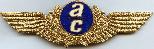 Знак Пилот